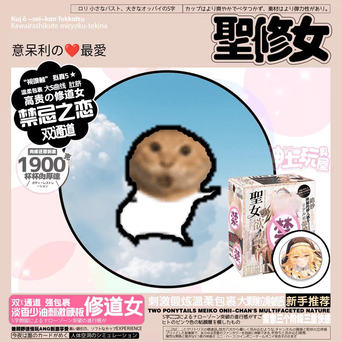 meme fleshlight_saint_sister